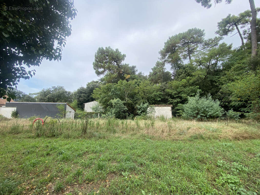 Terrain à SAINT-PALAIS-SUR-MER