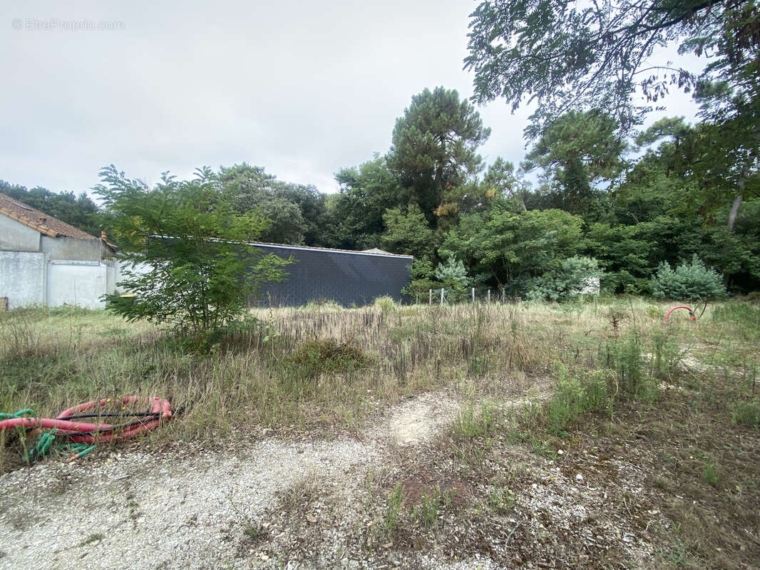 Terrain à SAINT-PALAIS-SUR-MER