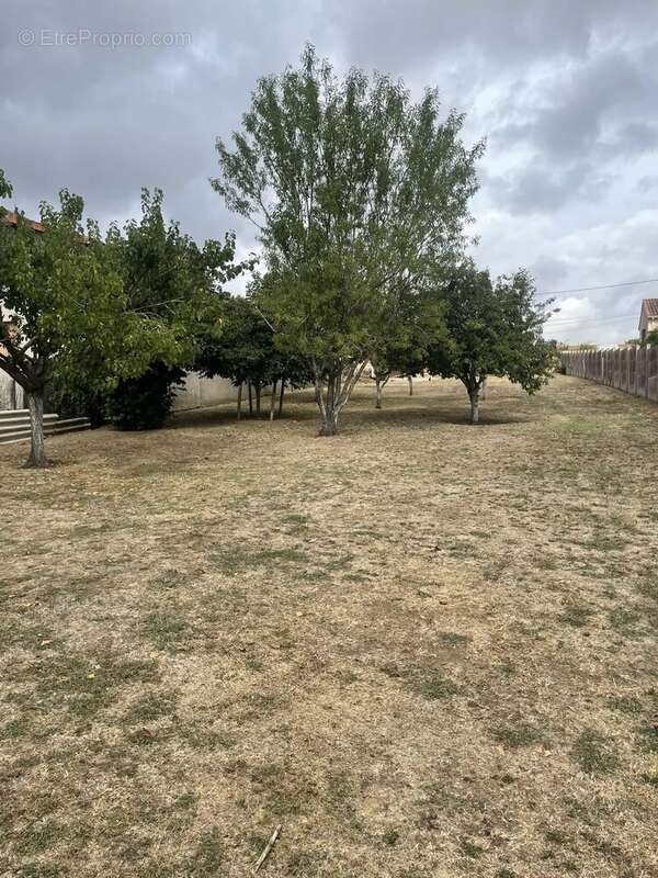 Terrain à PAS-DE-JEU