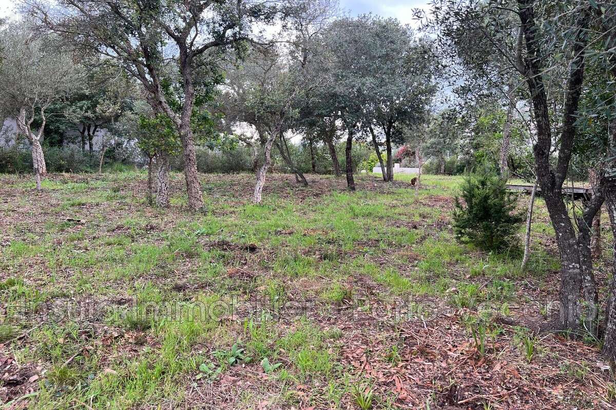 Terrain à PORTO-VECCHIO