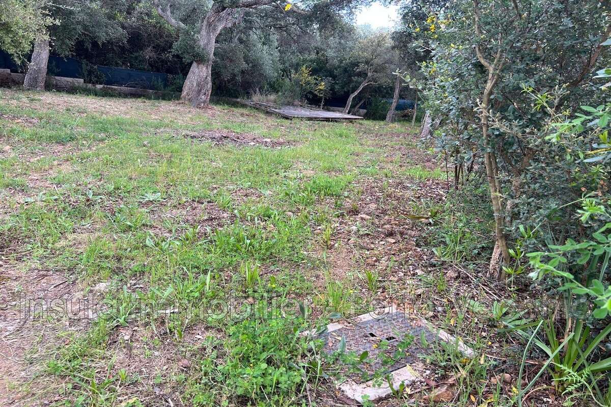 Terrain à PORTO-VECCHIO