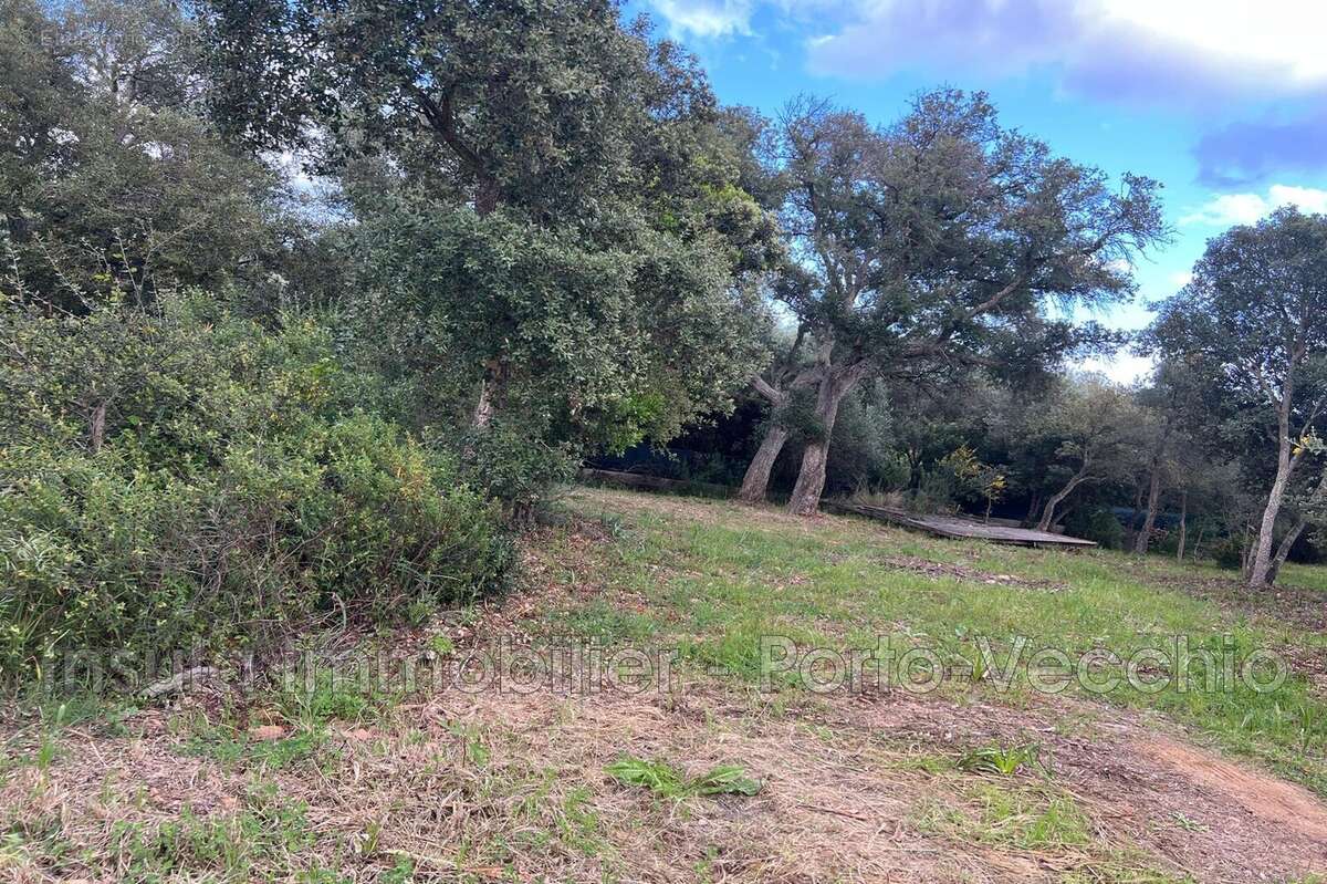 Terrain à PORTO-VECCHIO