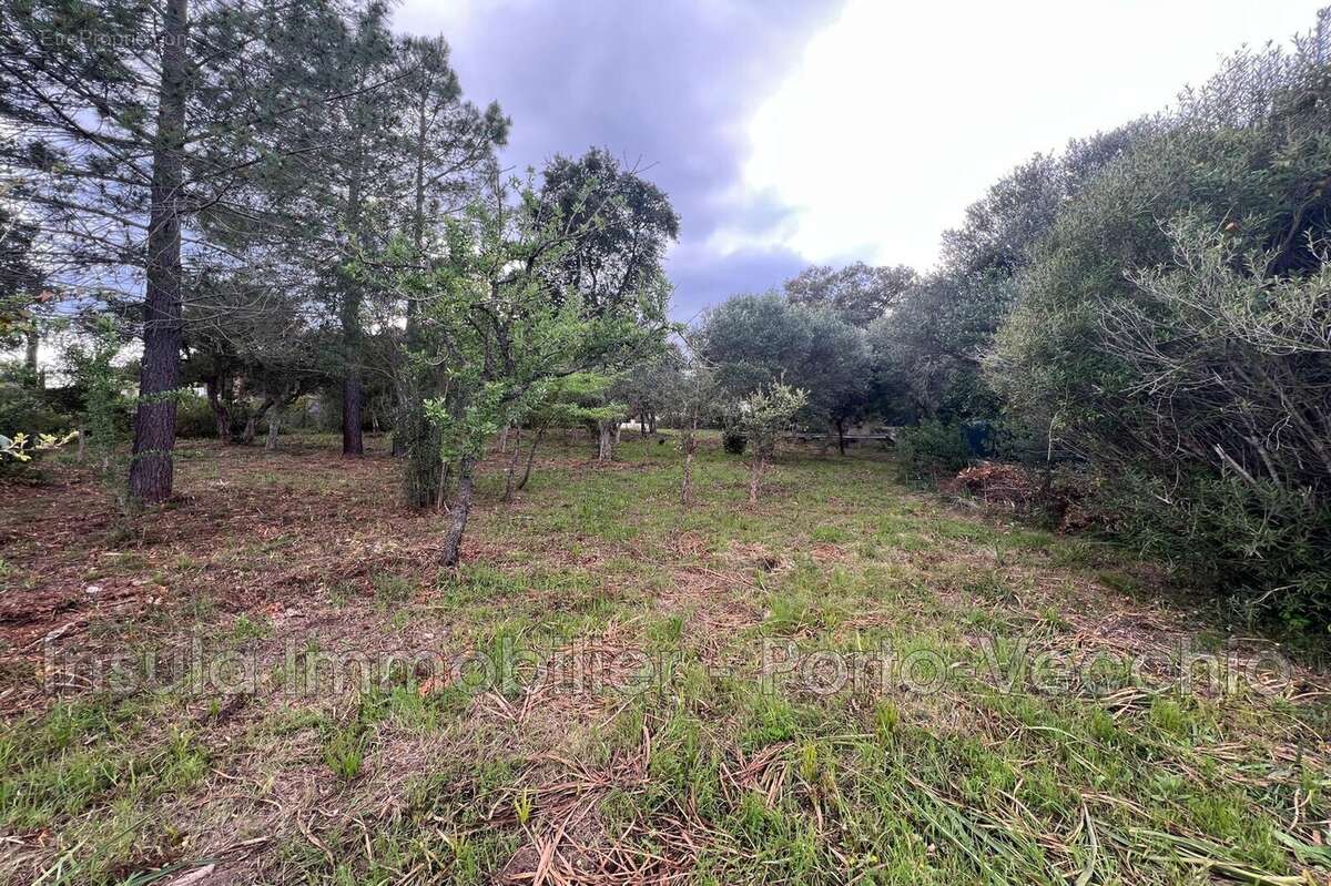 Terrain à PORTO-VECCHIO