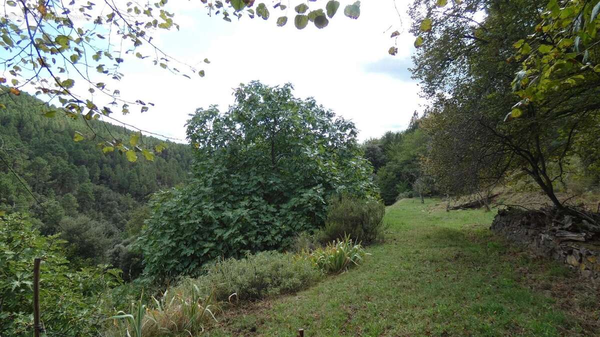 Maison à SAINT-JEAN-DU-GARD