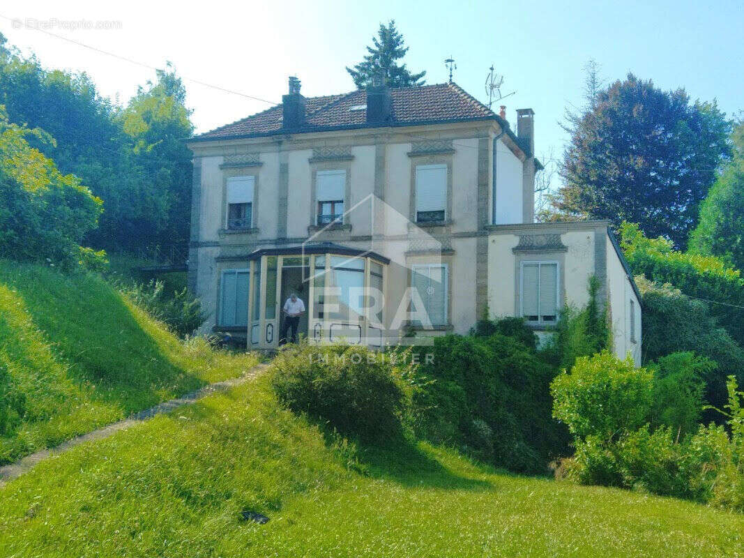 Maison à VILLE-SUR-ILLON
