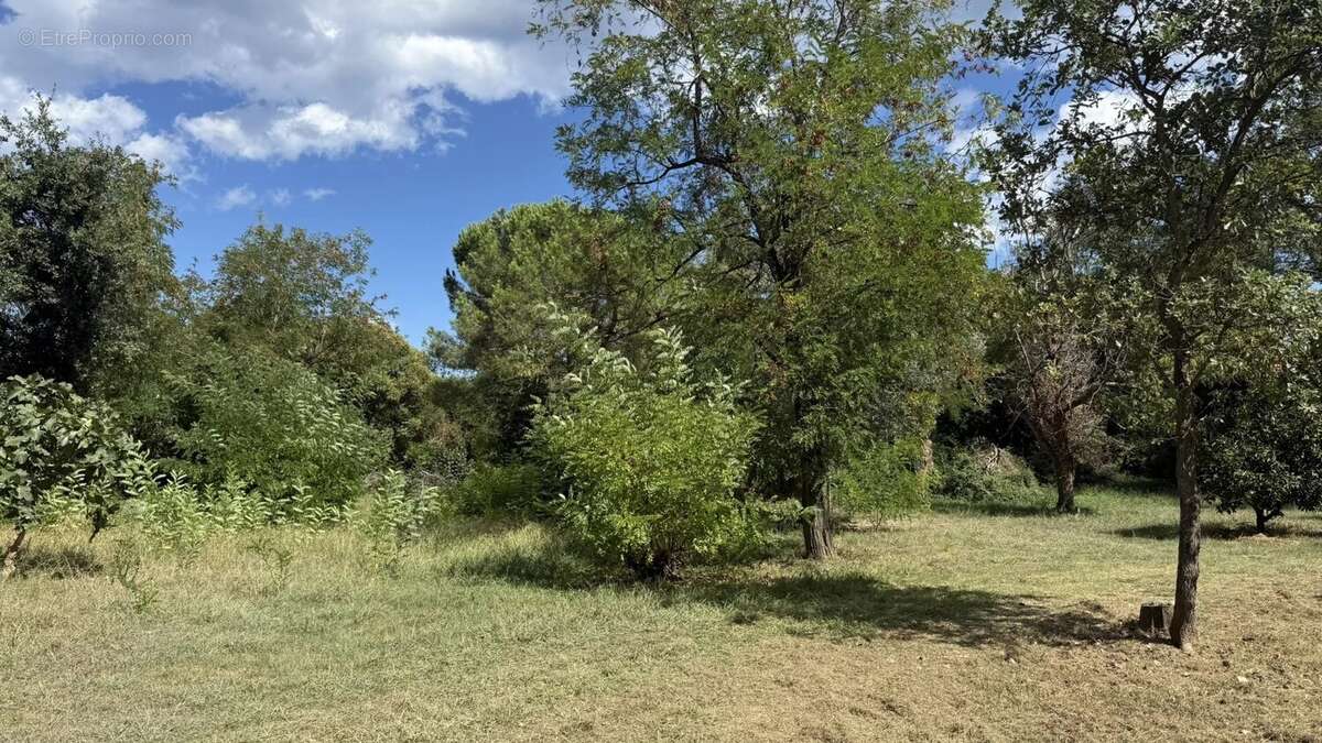 Maison à SANTA-LUCIA-DI-MORIANI