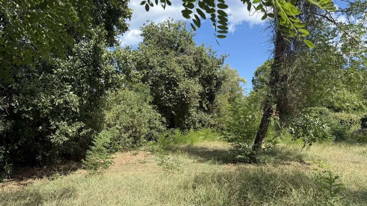 Maison à SANTA-LUCIA-DI-MORIANI