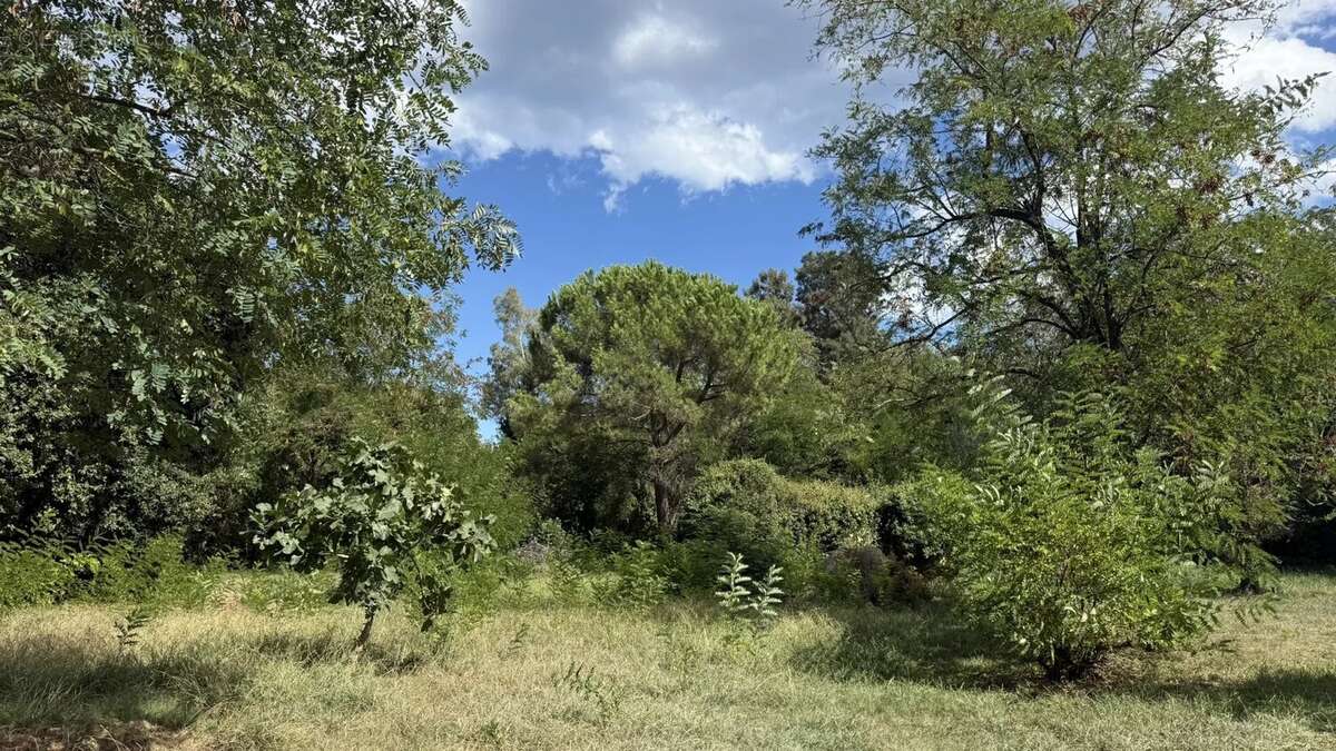 Maison à SANTA-LUCIA-DI-MORIANI