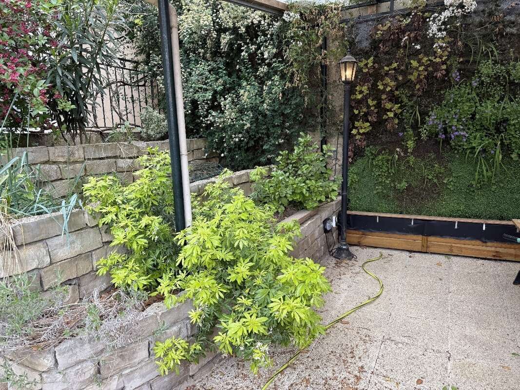 Maison à CHAMPIGNY-SUR-MARNE