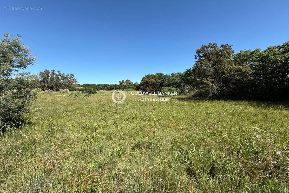 Maison à RAMATUELLE