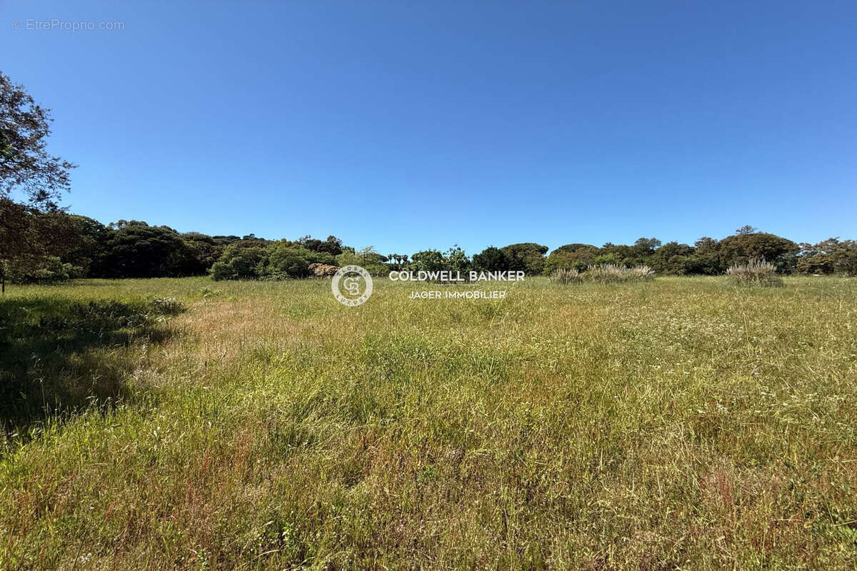 Maison à RAMATUELLE