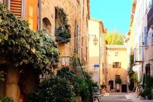 Commerce à VALBONNE