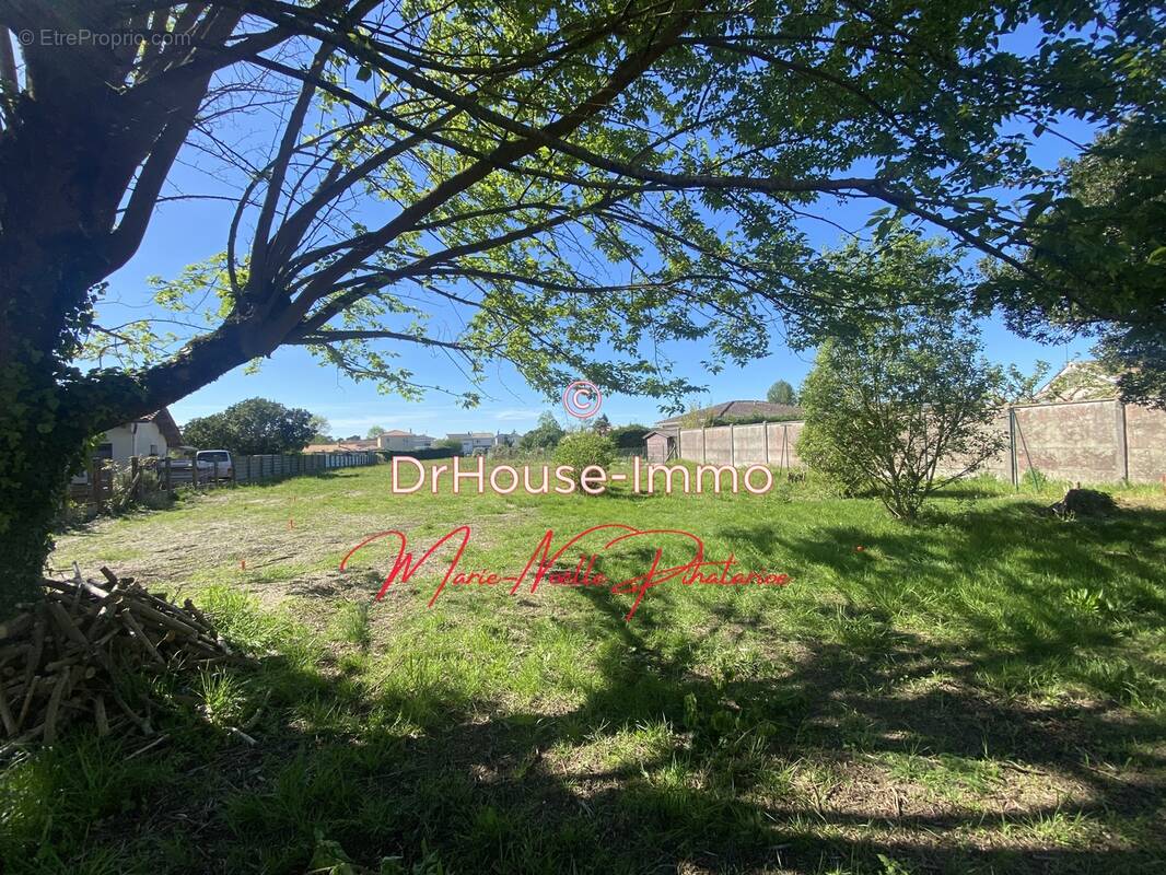 Terrain à SAINT-MEDARD-EN-JALLES