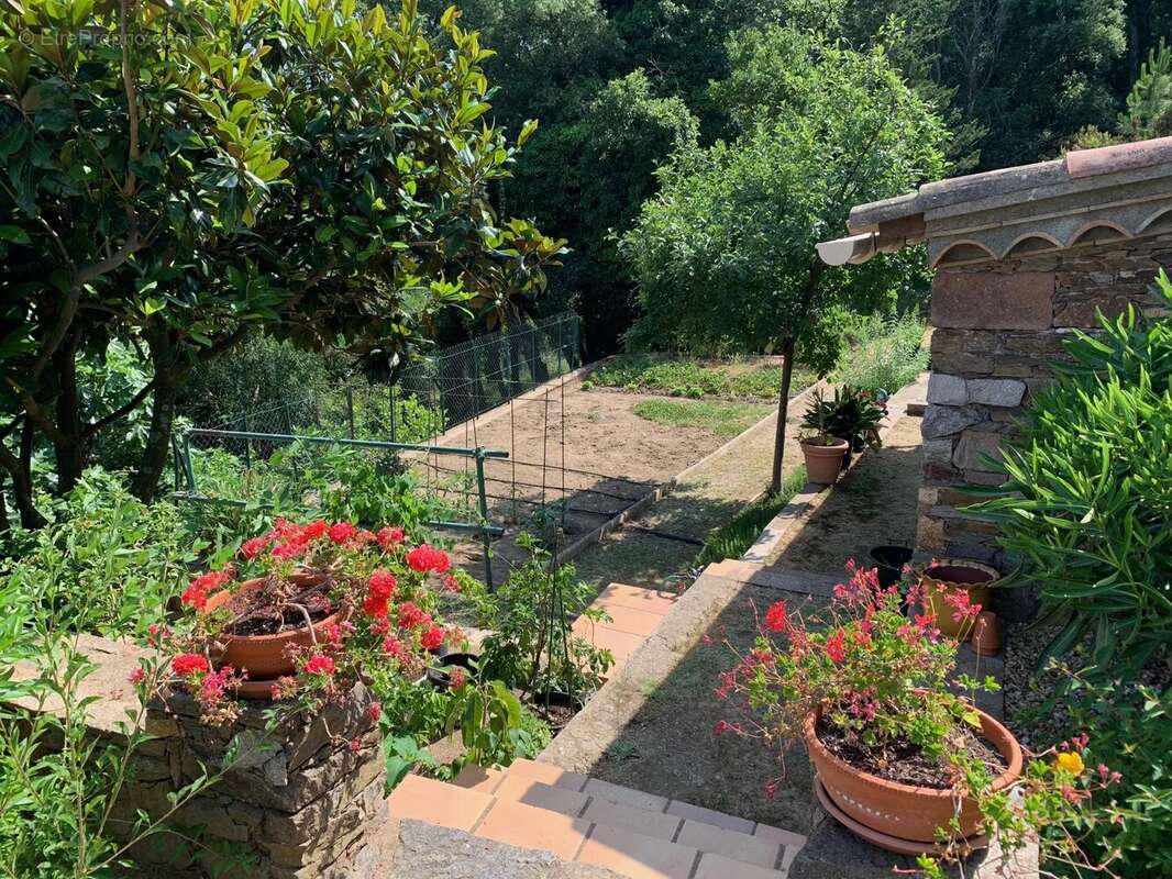 Maison à LA GARDE-FREINET