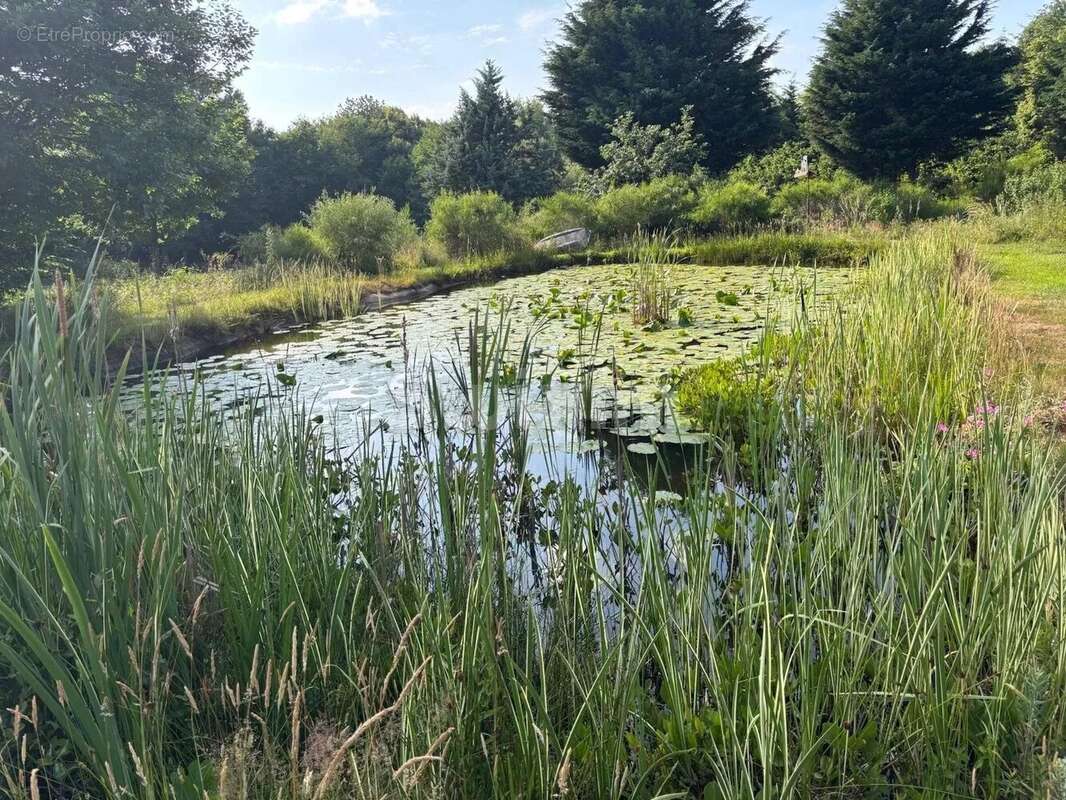 Maison à SAINT-DIDIER