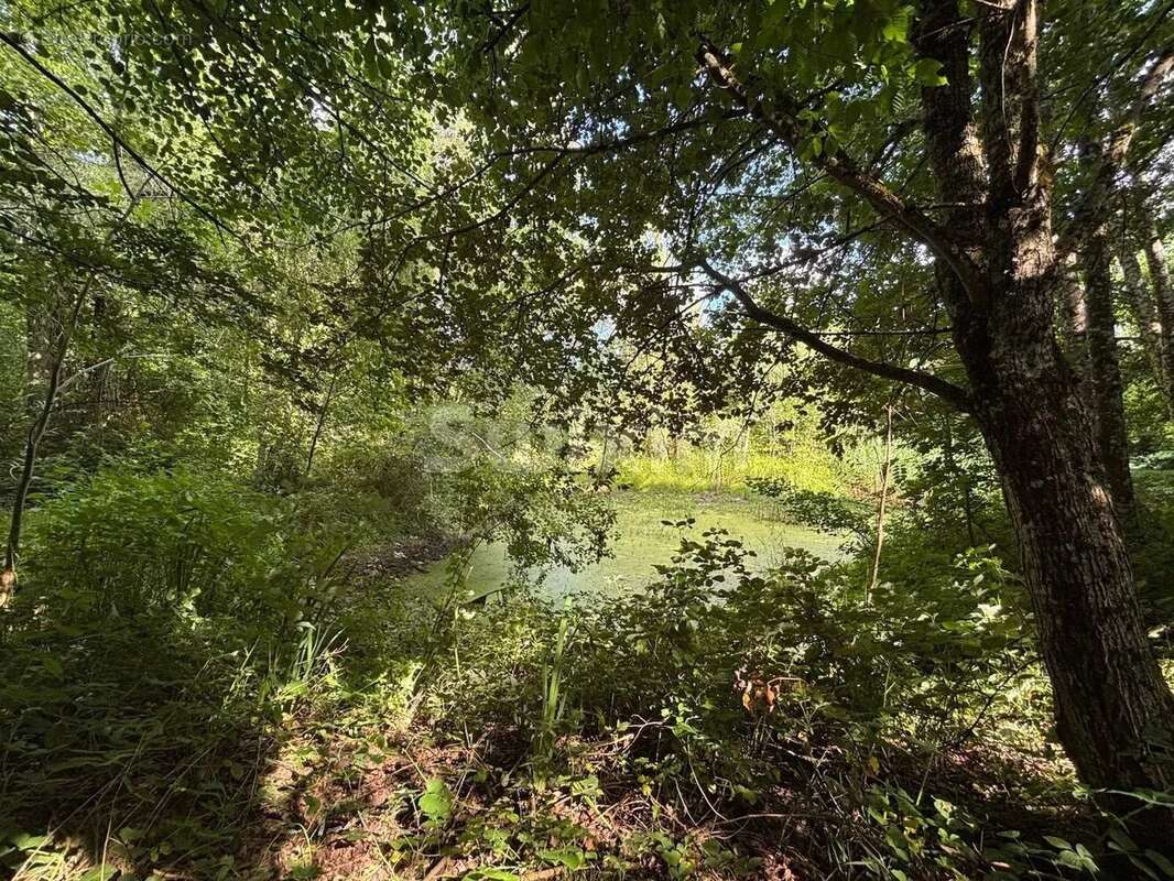 Maison à SAINT-DIDIER