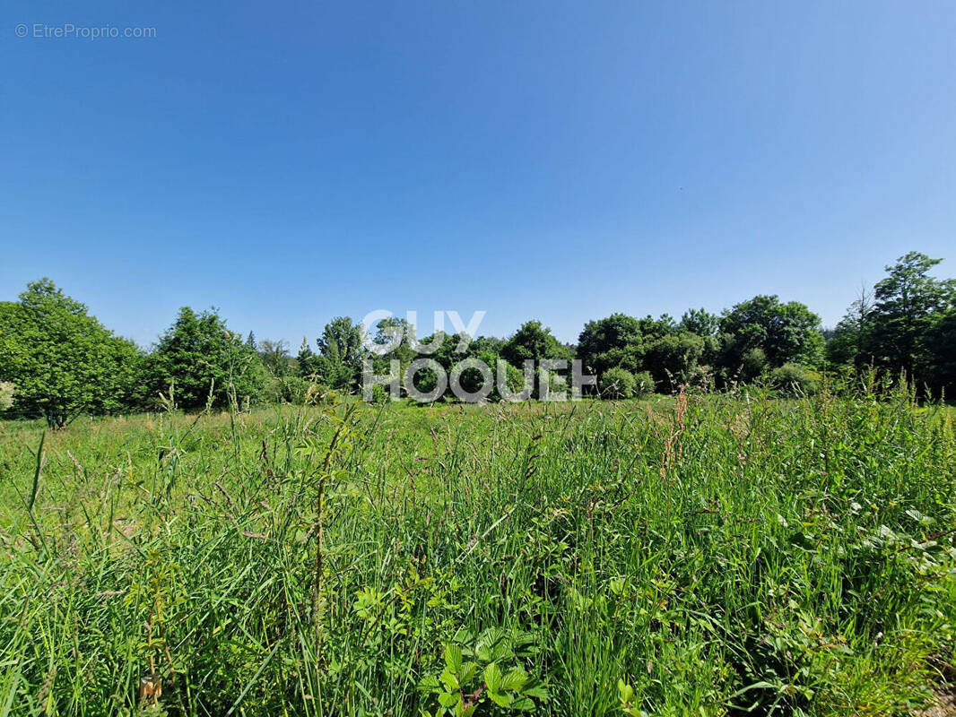 Terrain à SAINT-GUYOMARD