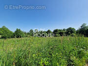 Terrain à SAINT-GUYOMARD