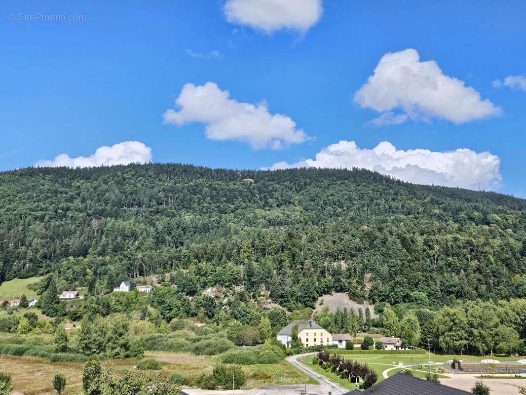 20250902_143305 - Appartement à SAINT-ETIENNE-LES-REMIREMONT