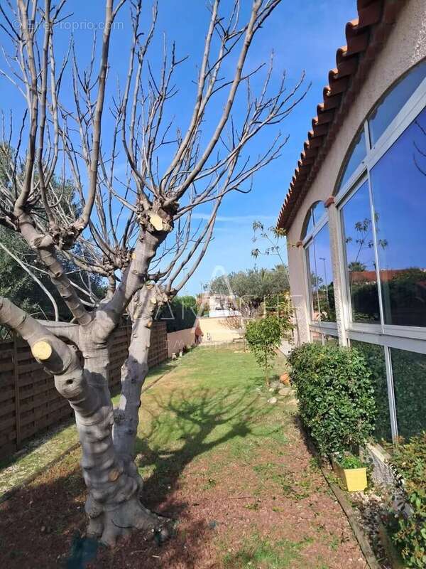 Maison à VILLENEUVE-DE-LA-RAHO