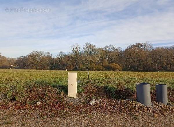 Terrain à SAINT-PERE-EN-RETZ