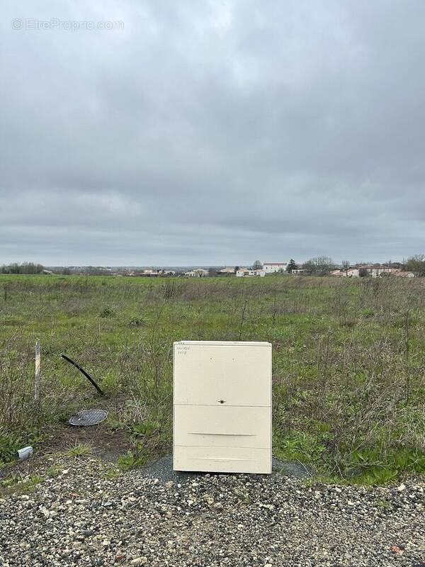 Terrain à SAINT-PERE-EN-RETZ