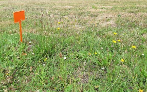 Terrain à SAINT-MICHEL-CHEF-CHEF