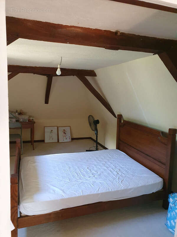 20250521_101204 - Maison à OLORON-SAINTE-MARIE