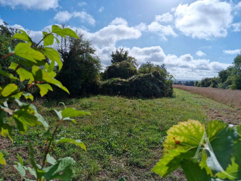 Maison à BOISSY-SANS-AVOIR