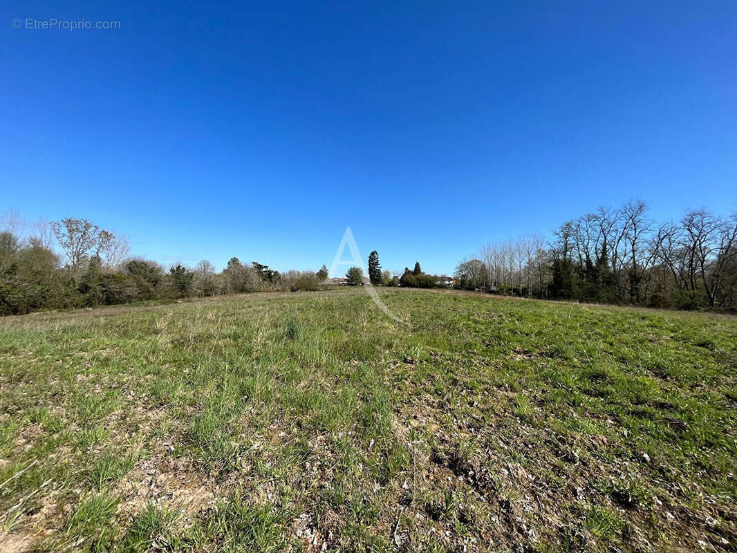 Maison à VILLENEUVE-DE-MARSAN