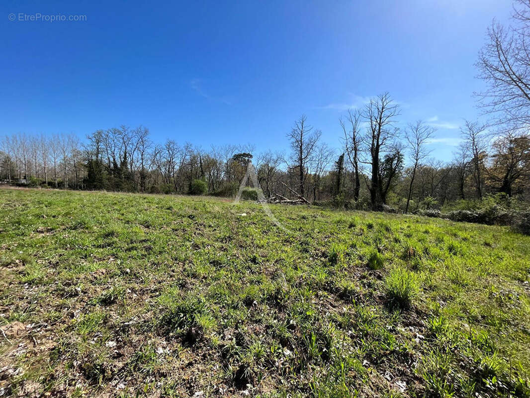 Maison à VILLENEUVE-DE-MARSAN