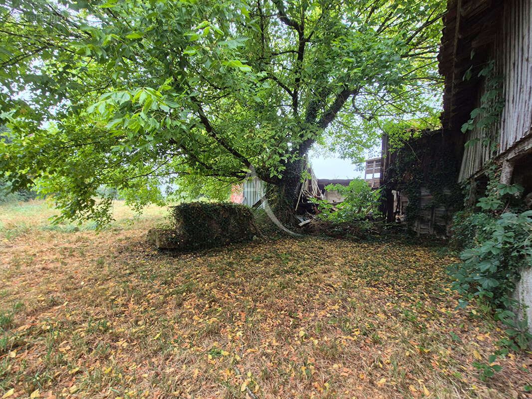 Maison à VILLENEUVE-DE-MARSAN