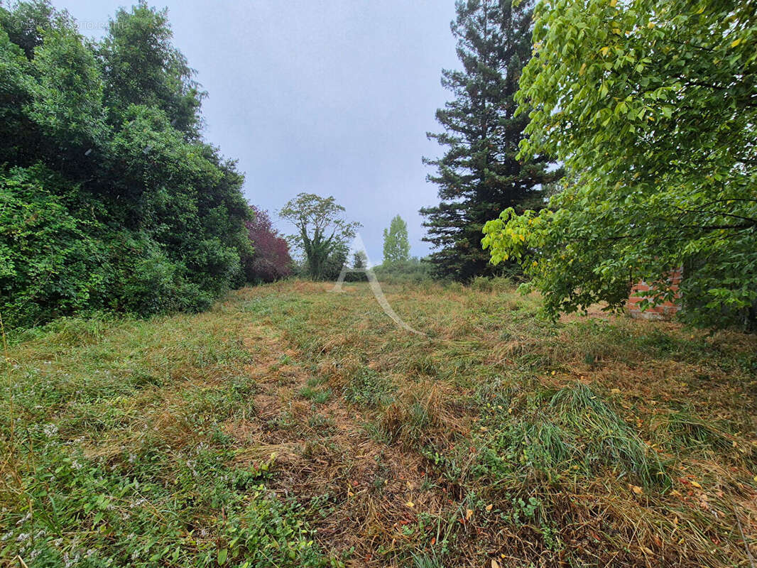 Maison à VILLENEUVE-DE-MARSAN