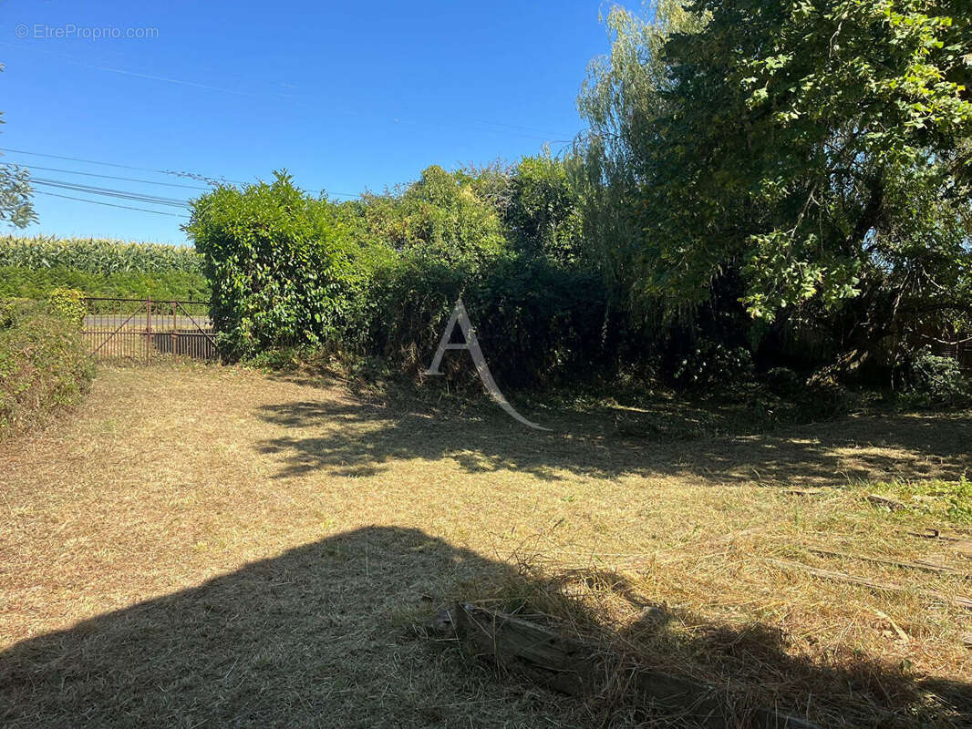 Maison à VILLENEUVE-DE-MARSAN