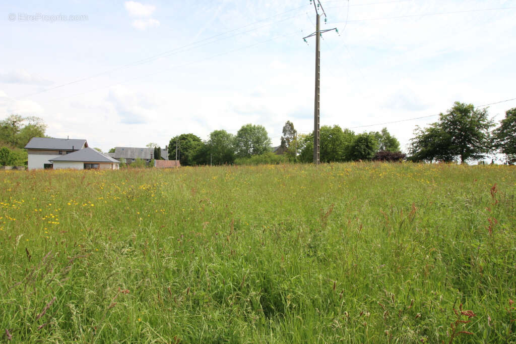 Terrain à SAINT-JEAN-DES-CHAMPS