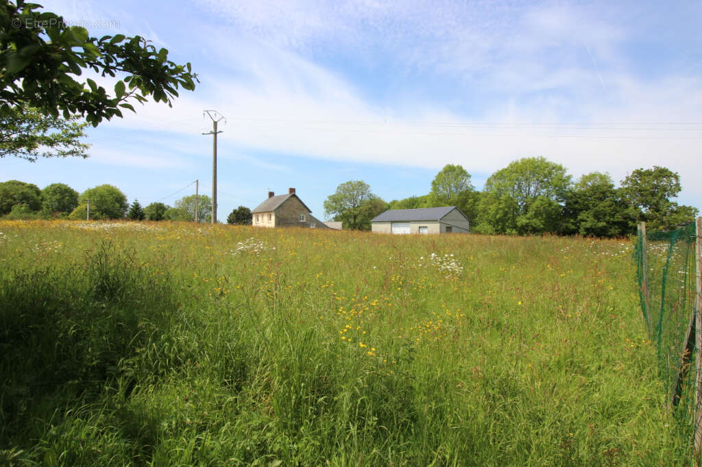 Terrain à SAINT-JEAN-DES-CHAMPS