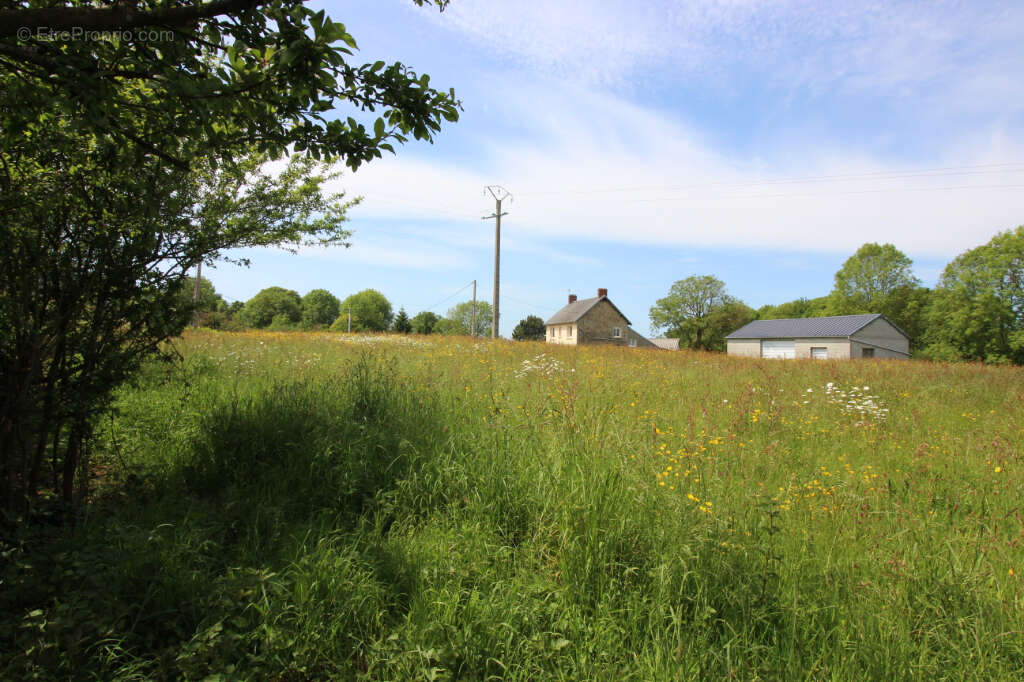 Terrain à SAINT-JEAN-DES-CHAMPS