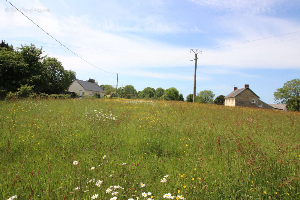 Terrain à SAINT-JEAN-DES-CHAMPS