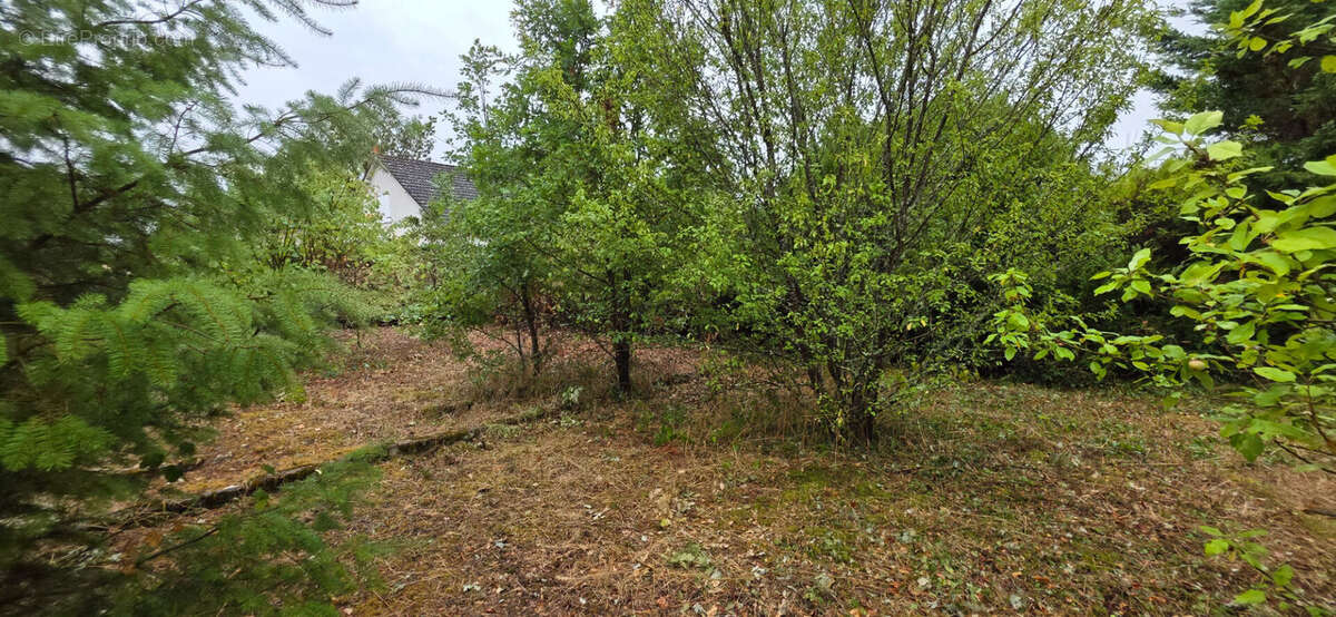 Maison à TOURNON-SAINT-PIERRE