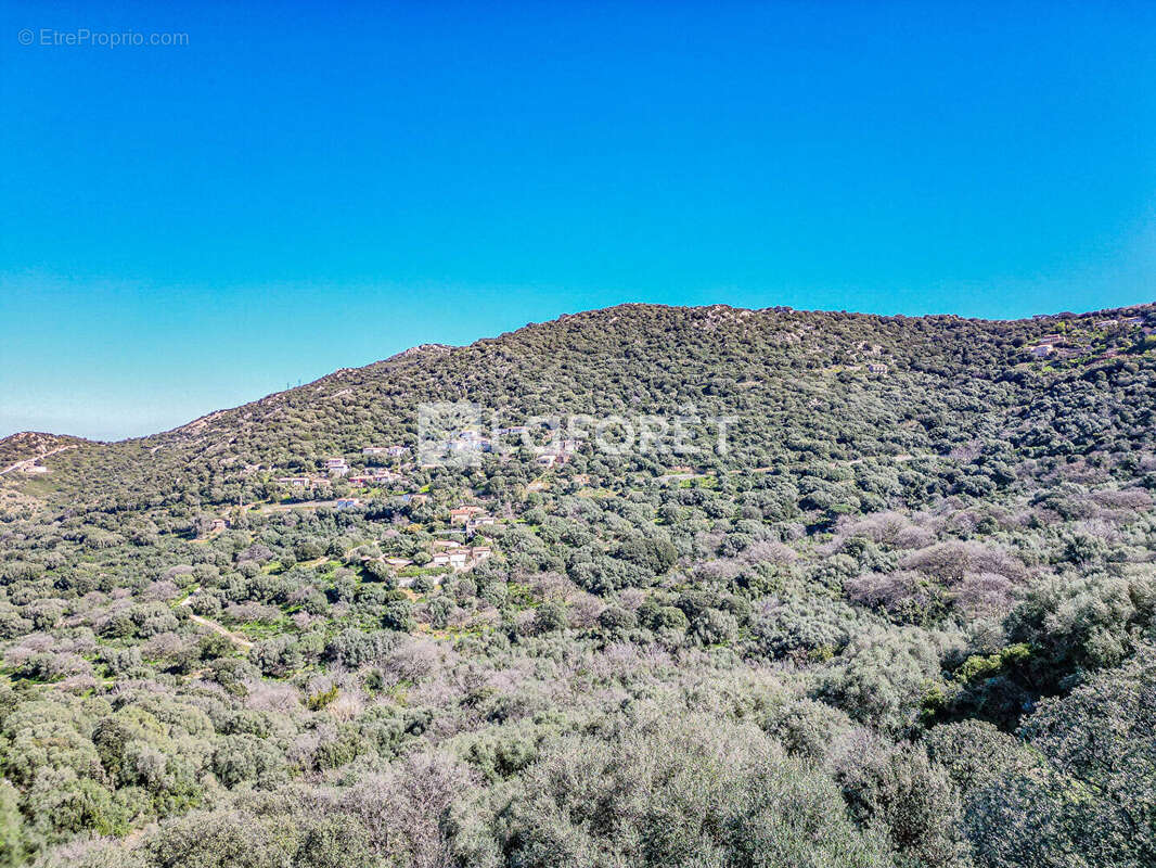 Terrain à SANTA-REPARATA-DI-BALAGNA