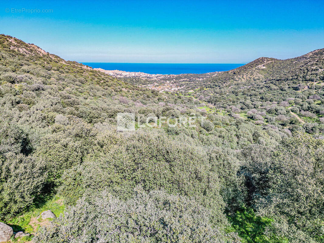 Terrain à SANTA-REPARATA-DI-BALAGNA