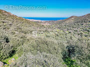 Terrain à SANTA-REPARATA-DI-BALAGNA