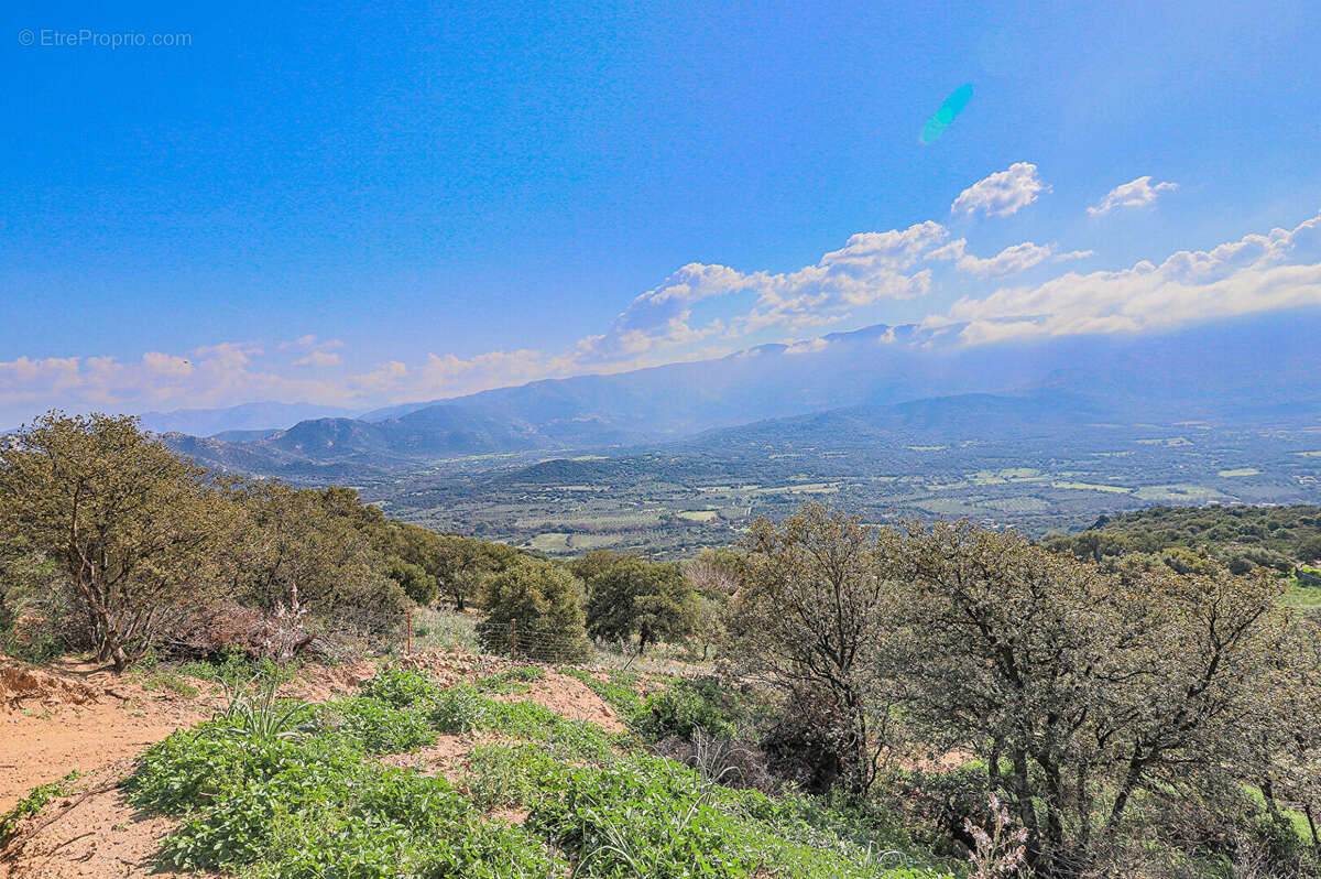 Terrain à MONTICELLO