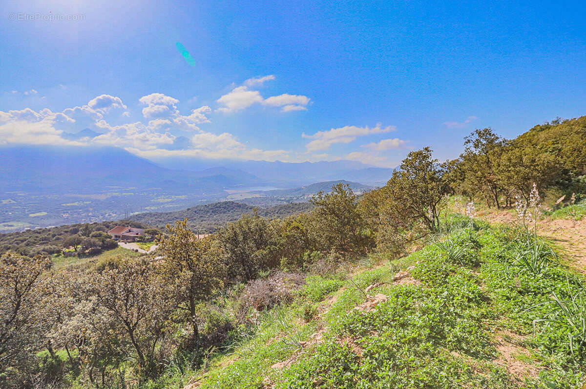 Terrain à MONTICELLO