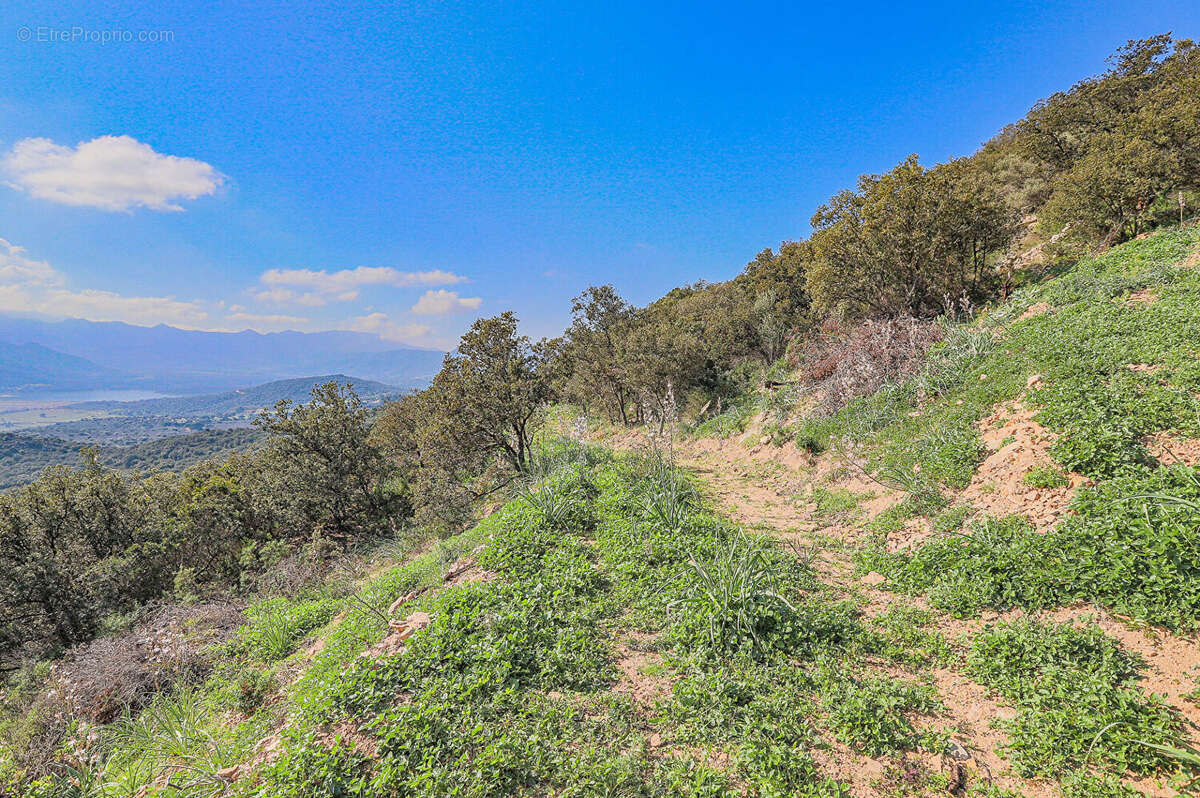 Terrain à MONTICELLO