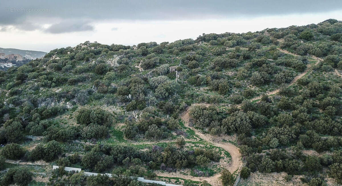 Terrain à MONTICELLO
