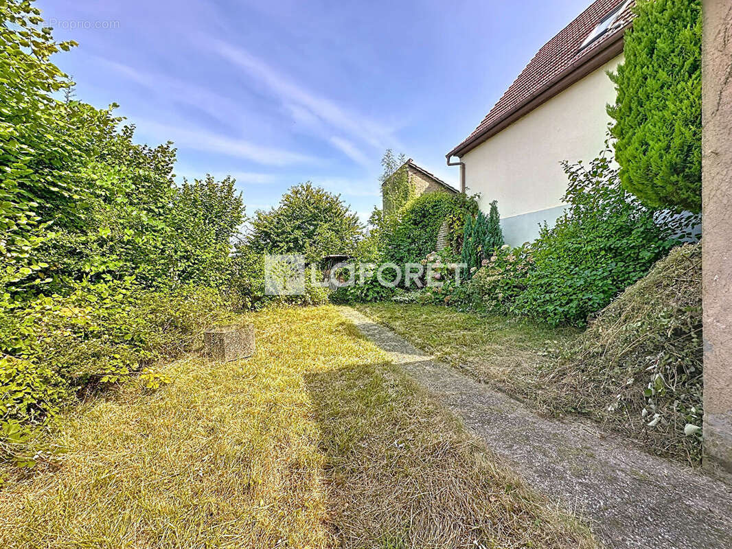 Maison à ECKWERSHEIM