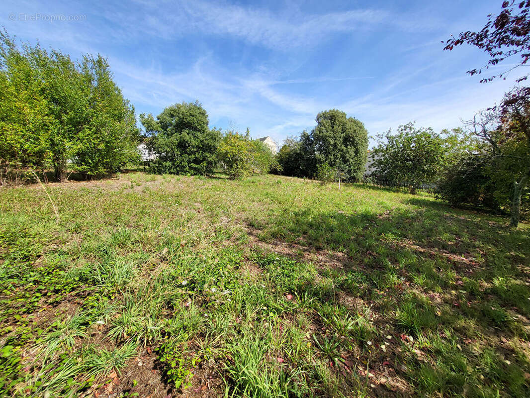 Terrain à PORNIC