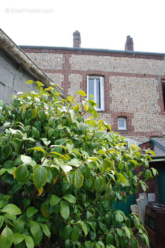 Photo 1 - Maison à FECAMP