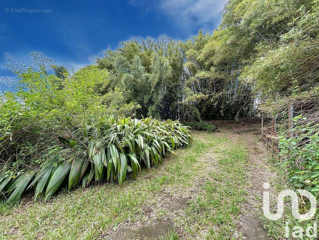 Photo 4 - Terrain à SAINT-DENIS